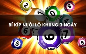 Bí kiếp nuôi lô khung 3 ngày