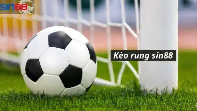 Tổng hợp các bí quyết của kèo rung Sin88